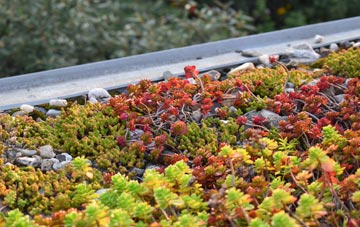 the cost of Long Sutton green roof installation