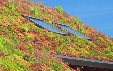 Long Sutton living roof systems