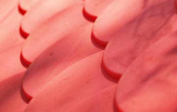 Long Sutton plastic roof costs